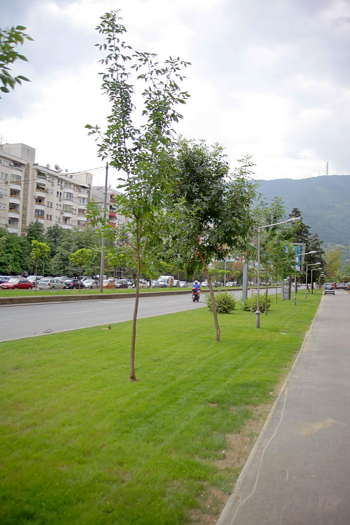 image01