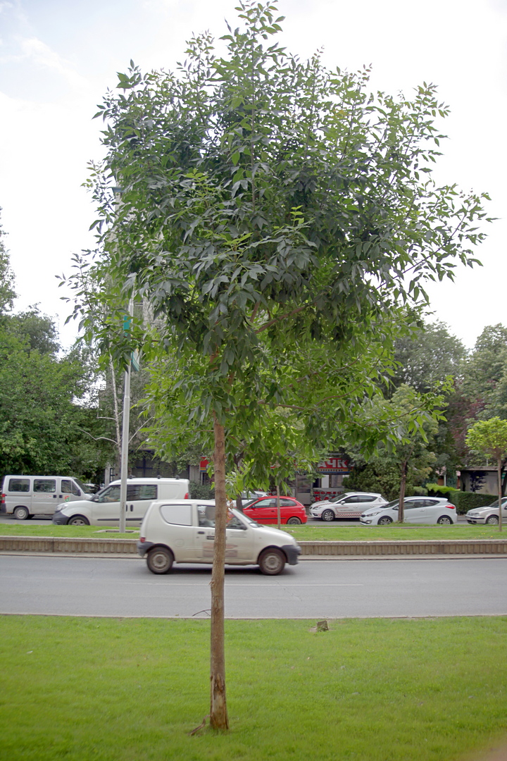 image01
